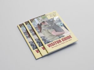 hunter valley zoo brochure cover design