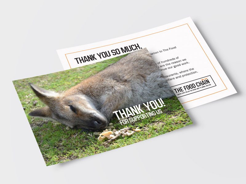 postcard design and photography